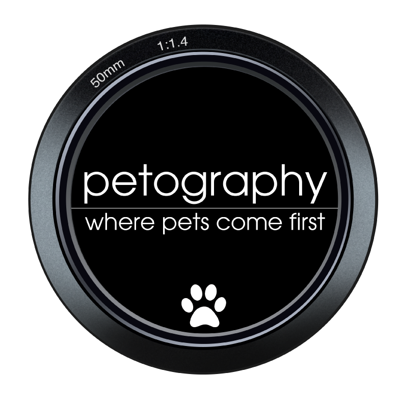 Ireland's Leading Pet Photographer – Petography